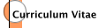 Curriculum Vitae